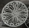 Herbie Davies - Lavara Arbore (photo 1)