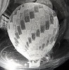 Janice Denley - Balloon Festival (photo 1)
