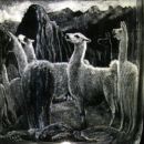 James Dennison-Pender - Llamas at Pacu Picchu
