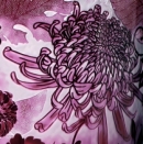 Jonathan Harris - Peony and chrysanthemum