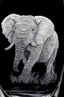 Lesley Pyke - African Bull Elephant