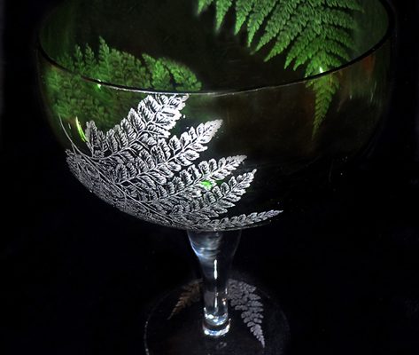 AkemiAdams-ForestFerns-DelicateButOftenUnappreciated