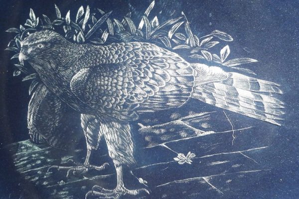 AkemiAdams-NursedBackToHuntingHealth2