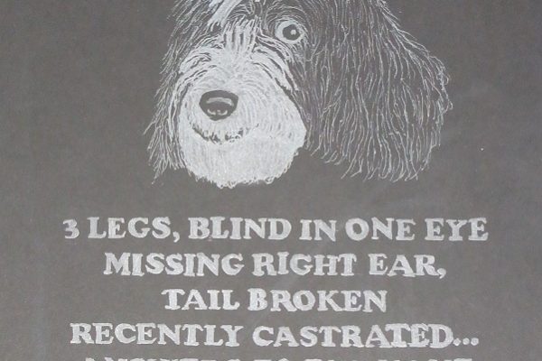 AlanBrimson-LuckyTheLostDog