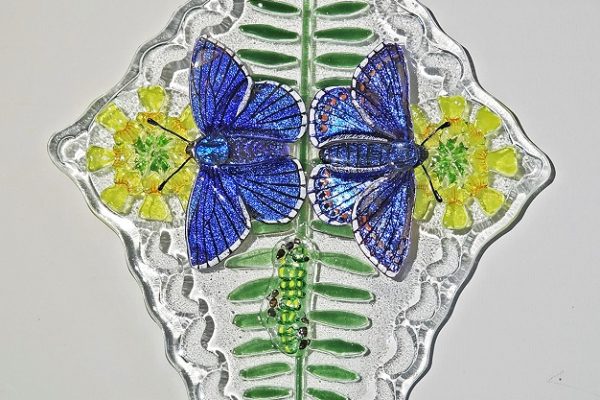 AmandaLawrence-AdonisBlue