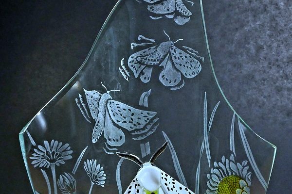 AmandaLawrence-HereAndGone(WhiteErmineMoth)