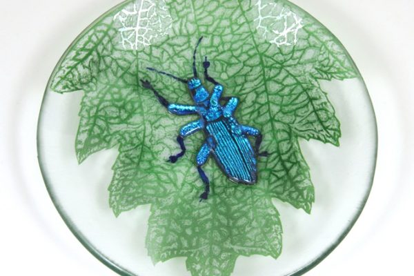 AmandaLawrence-It'sMyNettleOK