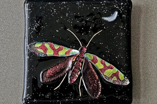 AmandaLawrence-OneMicromoth