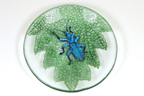 AmandaLawrence-TheLesserOfTwoWeevils