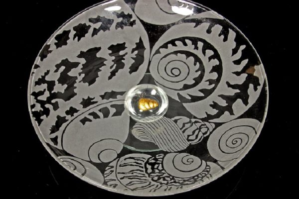 AmandaLawrence&ElaineDay-SmallestRarestSnail