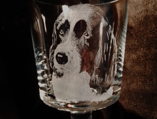 ChrisCole-Alfie-LeftHandProfile