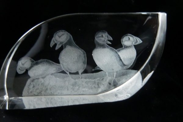 ChristineHook-Puffins(2018)