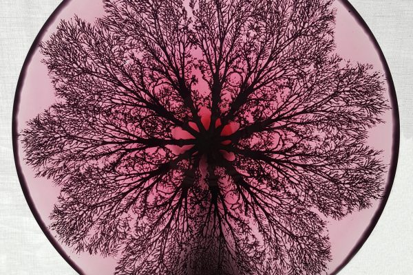 DawnDouglas-Sunrise-sunset