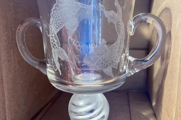 ElizabethCrossley-AuguriesOfInnocence