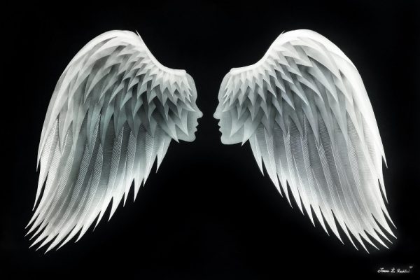 IvanaZivkovic-AngelWings