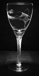 JennyStourton-Tuareg