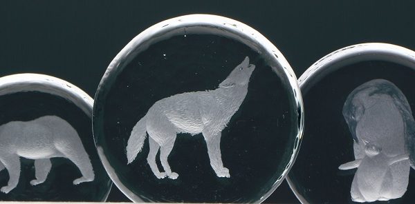 NadiaGiza-HelpWhereIsMyHome-4