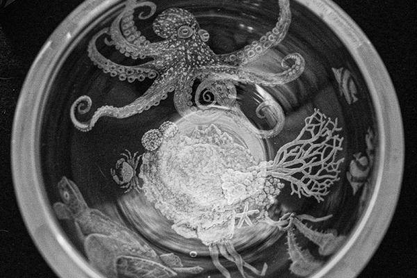 PeteLightowler-CreaturesOfTheSea