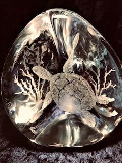 RosieCampbell-Turtle