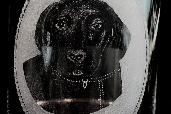 ChrisCole-Dogs3-CCole