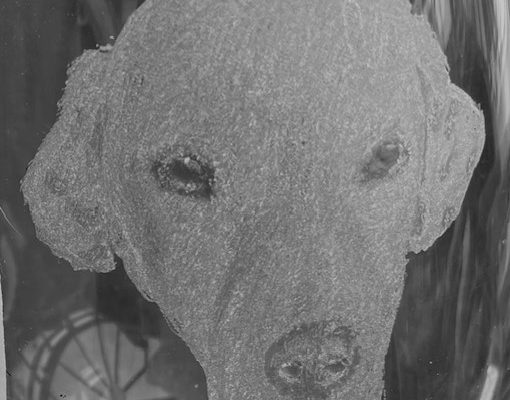 JaniceDenley-Dog1-2025-JDenley